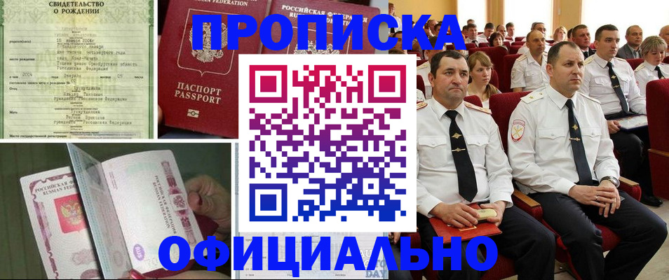 форма 3 в Сольцах